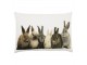 Bavlněný polštář s králíčky - 50*10*35cm