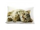 Bílý sametový polštář s kočičkou - 50*10*35cm