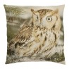 Bavlněný polštářek Sova  - 50*10*50cm

Barva: Vícebarevná
Materiál: potah 100% bavlna / výplň 100% polyester

