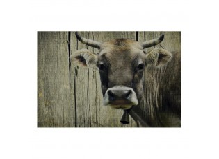Rohožka s motivem švýcarské krávy - 75*50*1cm
