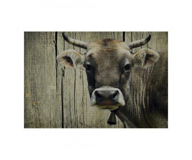 Rohožka s motivem švýcarské krávy - 75*50*1cm