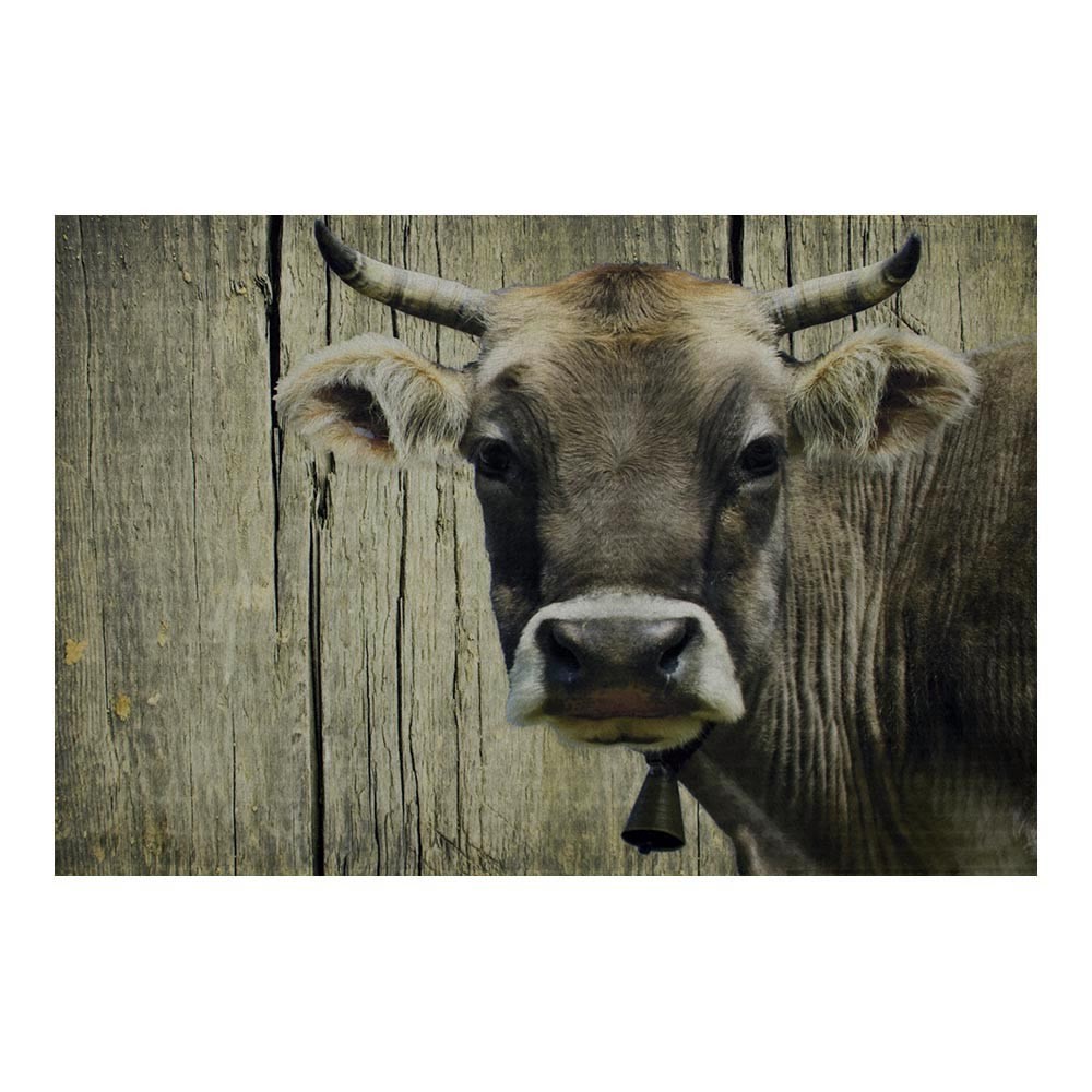 Rohožka s motivem švýcarské krávy - 75*50*1cm Mars & More