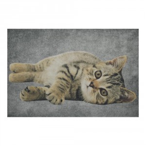 Šedá podlahová rohožka mourovené kotě - 75*50*1cm