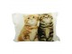 Béžový obdélníkový polštář s kočičkami - 50*10*35cm