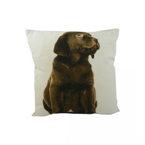 Béžový polštář čtvercový s hnědým labradorem - 33*10*33cm