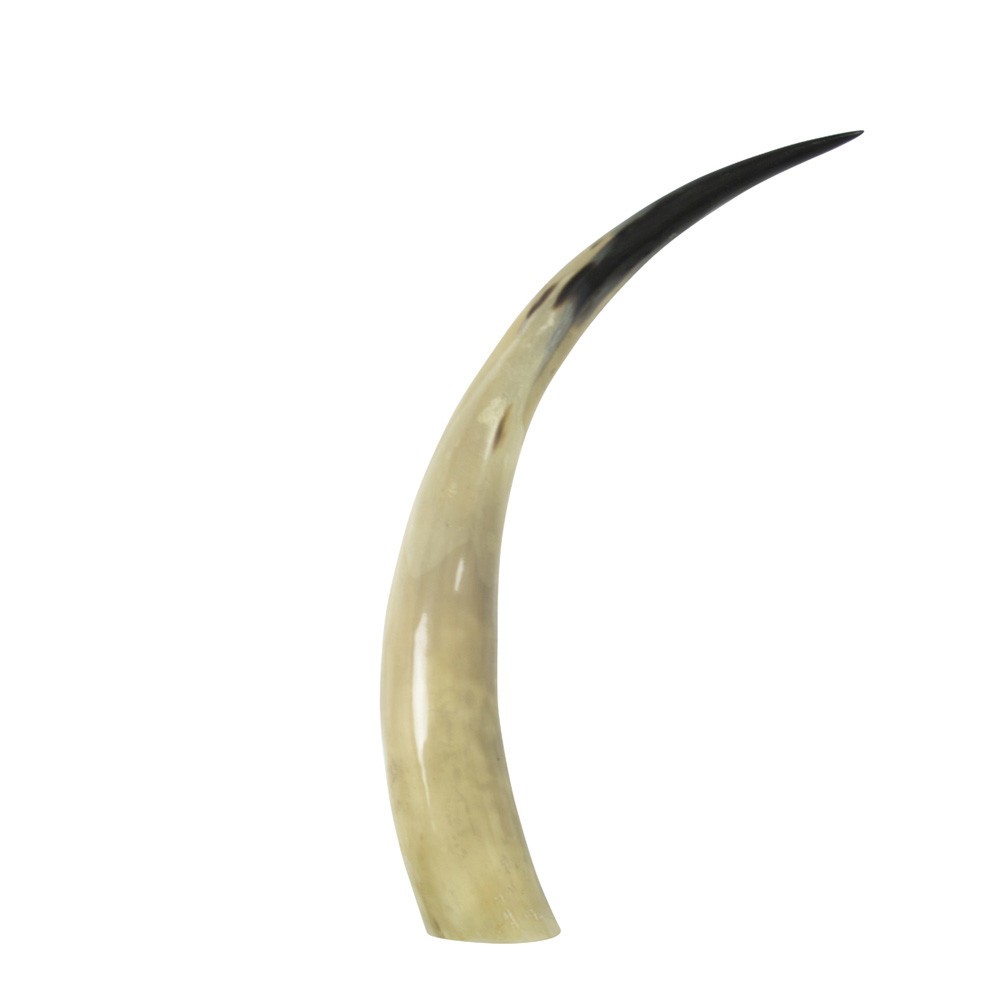 Dekrativní roh Bizon - 45cm