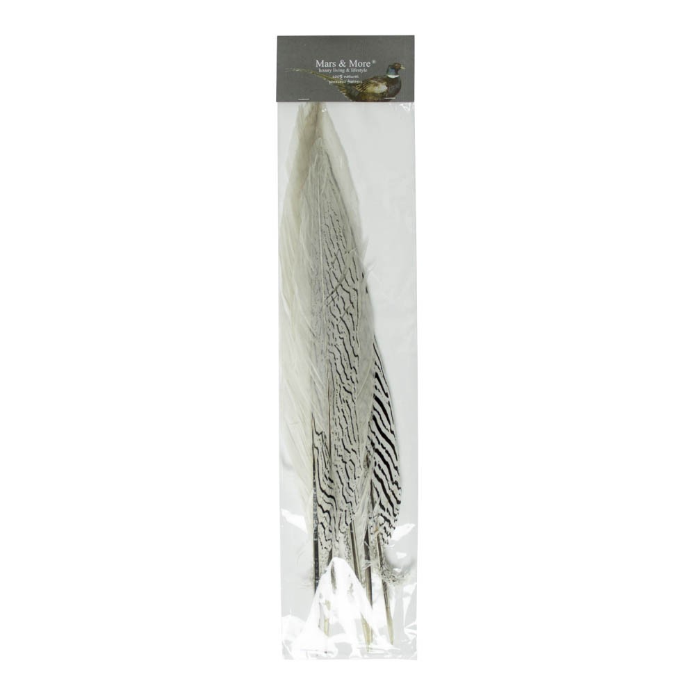 5ks peří bažant stříbrný (lophura nycthemera) - 38cm