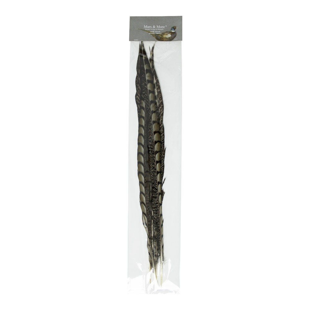 5ks peří bažant amherst (chrysolophus amherstiae) - 50cm