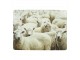 4ks pevné korkové prostírání ovce - 30*40*0,4cm