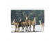 Podlahová rohožka s jeleny na sněhu - 75*50*1cm
