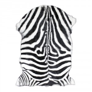 Bílo černá dekorativní kožešina Zebra z kozí kůže - 60*90*2cm