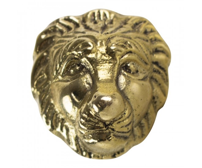 Zlatá úchytka lev - 3,4*3,4*6cm