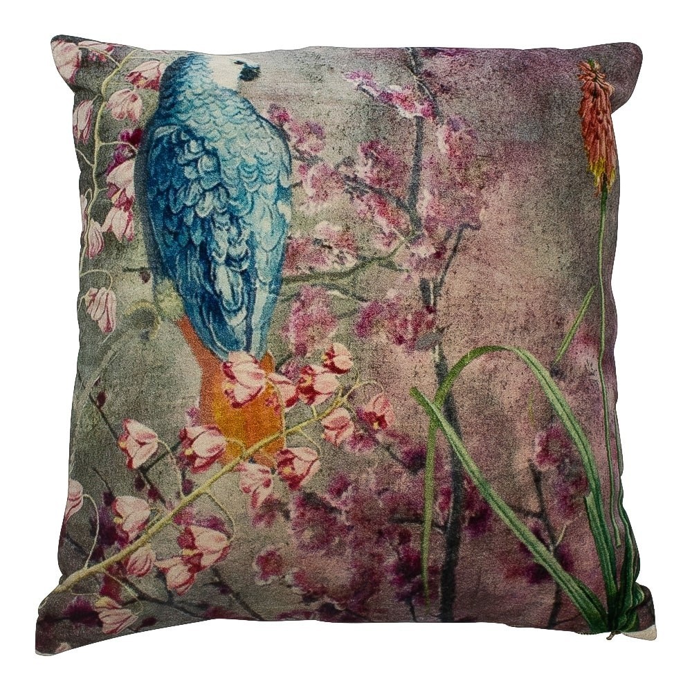 Modro- růžový sametový polštář okouzlující papoušek - 45*45*15cm