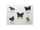 4ks pevné korkové prostírání motýli - 30*40*0,4cm