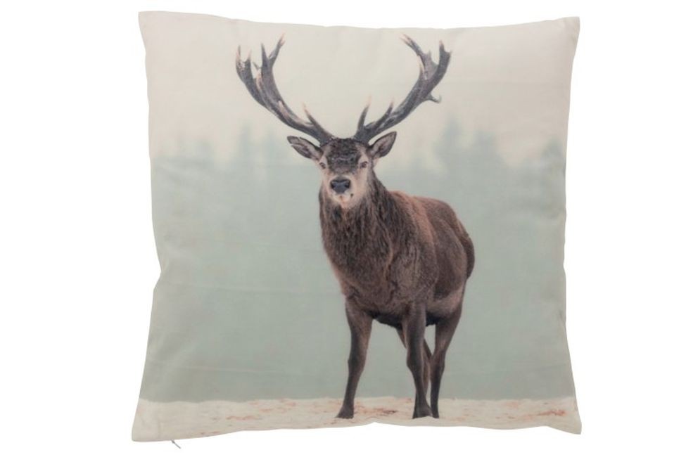 Sametový polštář s jelenem Deer - 45*45 cm J-Line by Jolipa