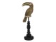 Dekorativní soška Tukan na bidýlku - 13*11*42 c