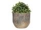 Kamenný květináč s popraskaným designem Craquer – Ø 16*16 cm Clayre & Eef