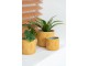 Okrový vzorovaný obal na květináč s listy Tropical S - Ø12*11 cm