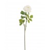 Dekorace umělá bílá růže Mattie - 17*10*59 cm Barva: bílá / zelenáMateriál: pvc Bílá růže má na výšku 59cm. Působí opravdu věrohodně. Pořiďte si více růží a budete mít celoroční kytici bez starostí.