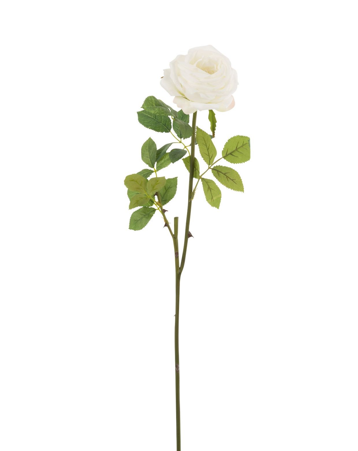 Dekorace umělá bílá růže Mattie - 17*10*59 cm J-Line by Jolipa