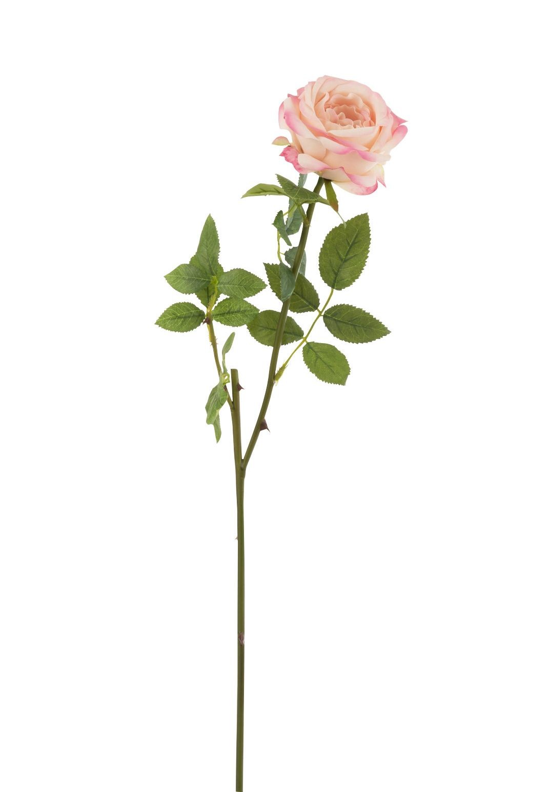 Dekorace umělá růžová růže Mattie - 17*10*59 cm J-Line by Jolipa