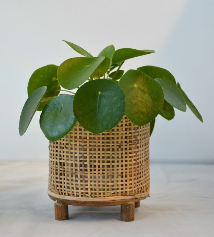 Kulatý bambusový květináč na nožičkách Bamboo - Ø17*18 cm