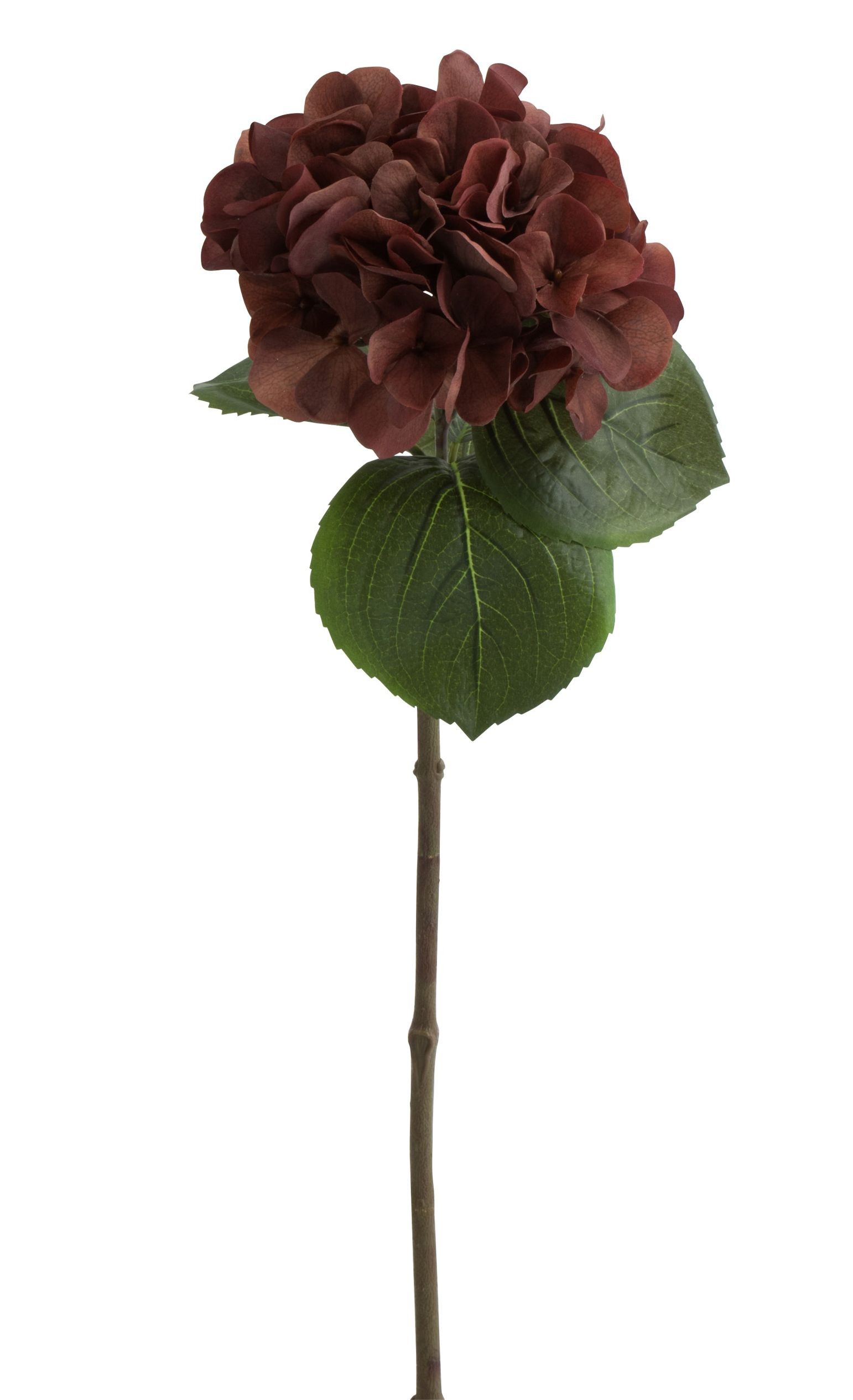 Hnědá dekorační květina Hortenzie - 17*62 cm J-Line by Jolipa