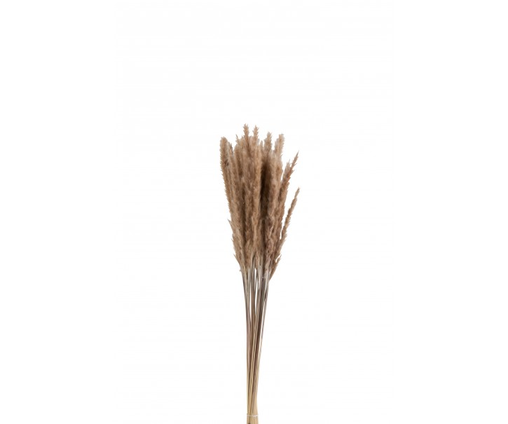 Svazek sušené trávy hnědé - 9*9*82 cm