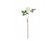 Umělá dekorativní květina Planá růže bílá - 15*7*45 cm