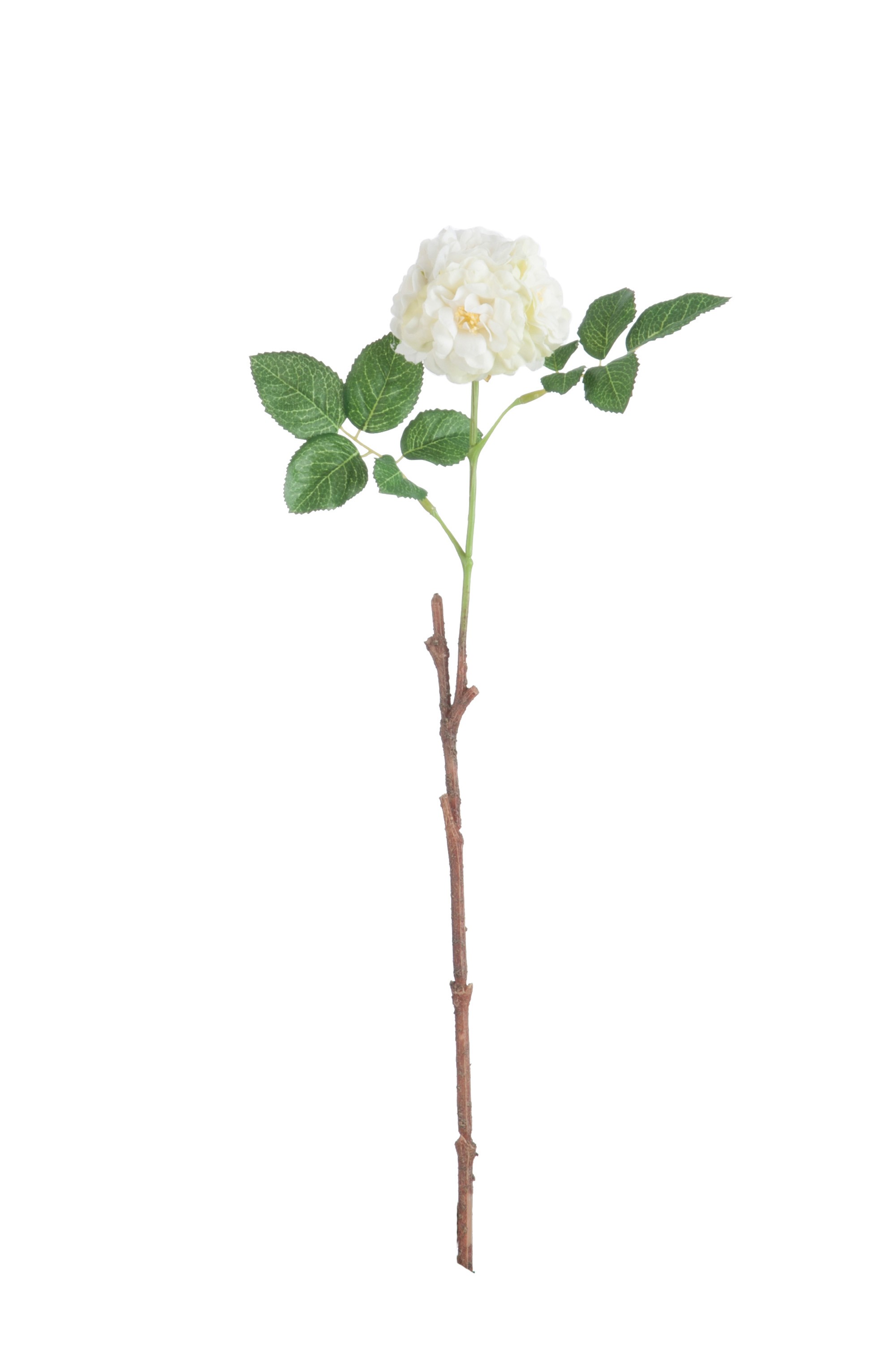 Umělá dekorativní květina Planá růže bílá - 15*7*45 cm 80166