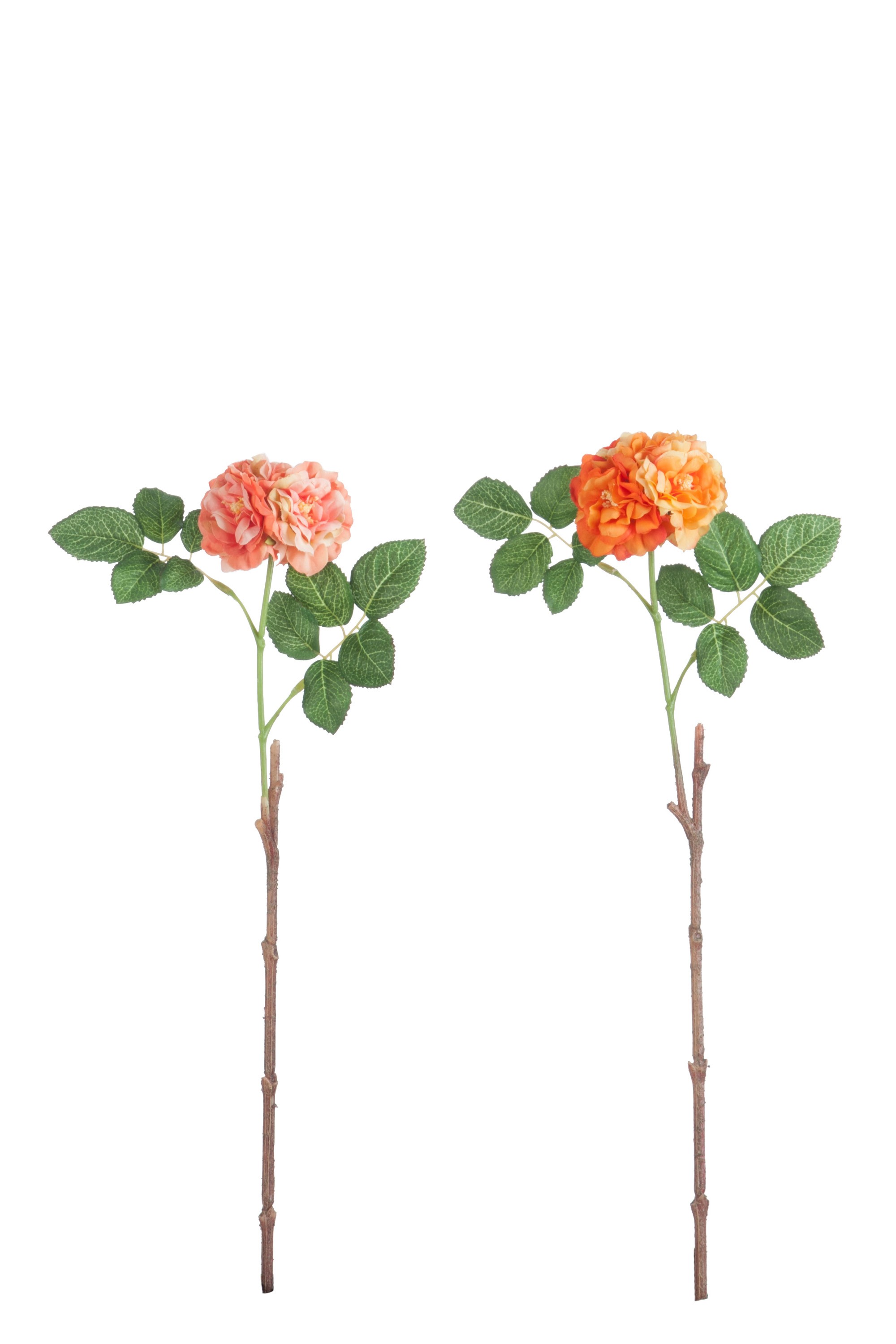 Umělá dekorativní květina Planá růže (2 ks) - 15*7*46 cm J-Line by Jolipa