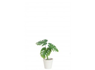 Zelená dekorativní umělá květina v bílém květináči - 21*17*26 cm