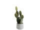 Zelený dekorativní umělý kaktus s placatými listy - 17*17*50 cm