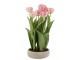Růžová dekorační kytička Tulipány v květníku - 30*31*48cm