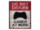 Nástěnná kovová cedule Gamer at work - 20*25 cm