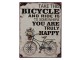 Nástěnná kovová cedule Bicycle - 33*25 cm