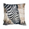 Sametový polštář Zebra - 45*45*10cm