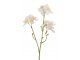 Dekorační umělá větvička s krémovými květy Blossom - 25 cm