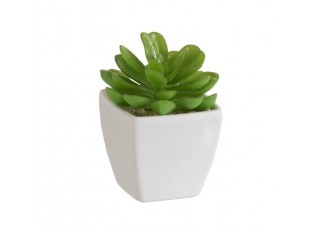 Zelený umělý dekorativní sukulent v bílém květináči - 5,5*5,5*9 cm