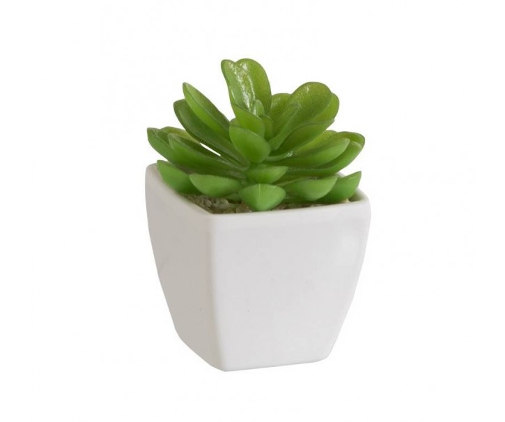 Zelený umělý dekorativní sukulent v bílém květináči - 5,5*5,5*9 cm