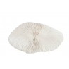 Bílý dekorativní umělý mořský korál - 15,5*14*3 cm Barva: bíláMateriál: polyresin