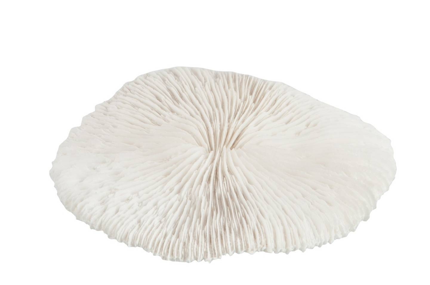 Bílý dekorativní umělý mořský korál - 15,5*14*3 cm J-Line by Jolipa