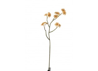 Větvička s béžovými květy Tweedia - 7*10*51 cm