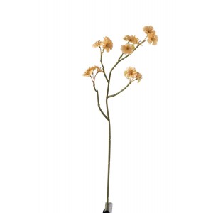 Větvička s béžovými květy Tweedia - 7*10*51 cm