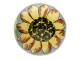 Barevná kulatá úchytka se žlutým květem - Ø 4*4 cm