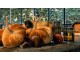 Oranžová sametová dekorativní dýně Pumpkin S - 19*20*19cm