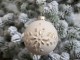 Pudrovo - zlatá skleněná vánoční koule I - Ø 8cm