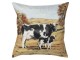 Povlak na polštář Cows - 45*45 cm