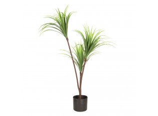 Dekorační pokojová rostlina - 75 cm