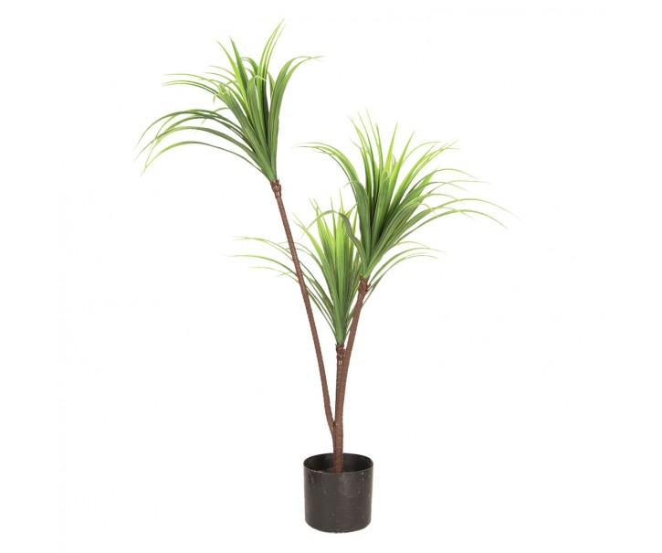 Dekorační pokojová rostlina - 75 cm